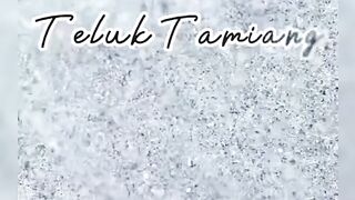 explore the coast of Teluk Tamiang, Kalimantan Indonesia
