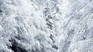 Snow falls Switzerland