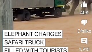 Elephant taking the truck