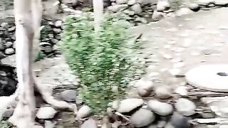 Beautiful views of District Mansehra, KPK | Pakistan | Hill Station