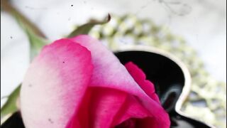Flower vidoe