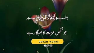 Quran translation