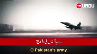 Pakistan zindabad