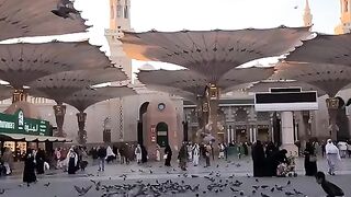 Mosque