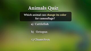Test Your Knowledge About Animals With This Animals Quiz Test #shorts #quiz
