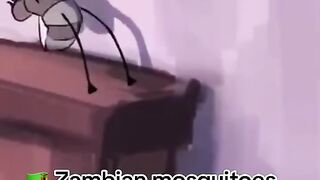 Zambia mosquitoes