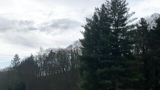 "Enchantment of the Wild: Reveling in Nature's Beauty"