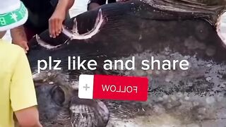 # video