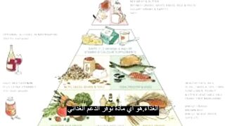 الغذاء.هو أي مادة توفر الدعم الغذائي للجسم ‐ Food is any substance that provides nutritional support to the body