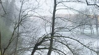"Beauty Unveiled: Exploring the Wonders of Nature"