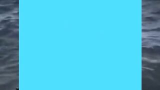 video ok