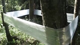 Make a camping tent out of plastic wrap.