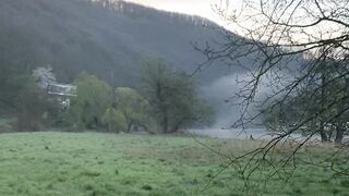 "Earth's Essence: Reveling in Nature's Beauty"