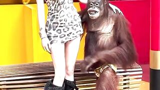 Monkey is boyfriend ????????
