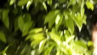L'eau de fleur d'oranger est un liquide clair extrait des fleurs