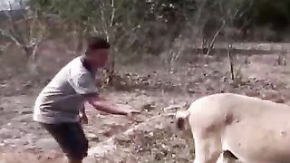 Funny clip