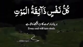 quran