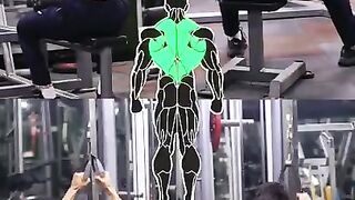 How to gym work out begineer guide for back workout