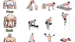 How to do gym workout full body