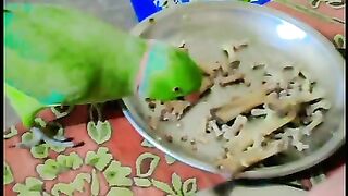 New video