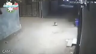سحری_کے_بتکریں