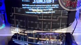 Batman: The Video Game