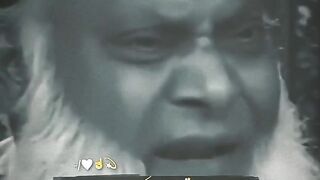 Dr Israr