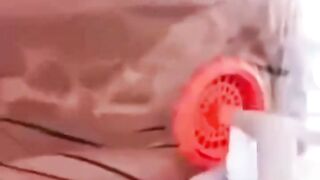 Time to laugh…  #viralvideo  #Science