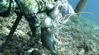 Sea Ceation For  Deep Under Water