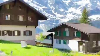 Natural videos