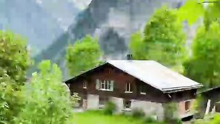 Nature videos