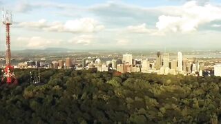 The City View.