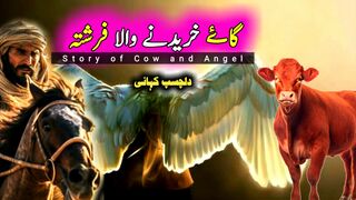 Red cow sacrifice israel urdu | Red Cow and Angel Story in Urdu | Urdu Wisdom Journey