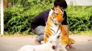 Prank with animal