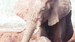 mother bathes her child