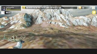 Animal hunting game