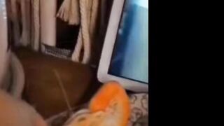 Funniest Cats And Dogs Videos  - Best Funny Animal Videos 2024