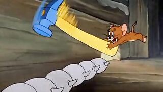 Tom and jerry cartoon