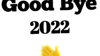 New Year 2023 status