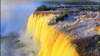 Amazing  of nature