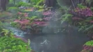 Amazing view of nature