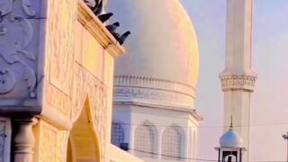 New Islamic status