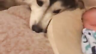 Little baby n Dog