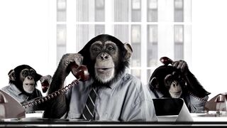 Monkeys Business Services