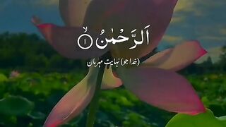 Sarah Rehman