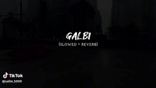 Galbi
