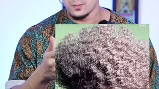 Try not to laugh
