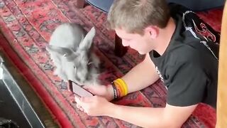 Bunny declared a 'no-phone zone'
