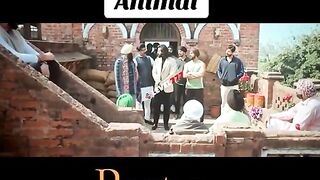 Animal movie clip