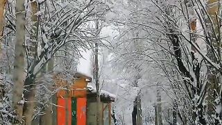 Beautiful view of snowfall in hometown#viral#video#febspotvideo